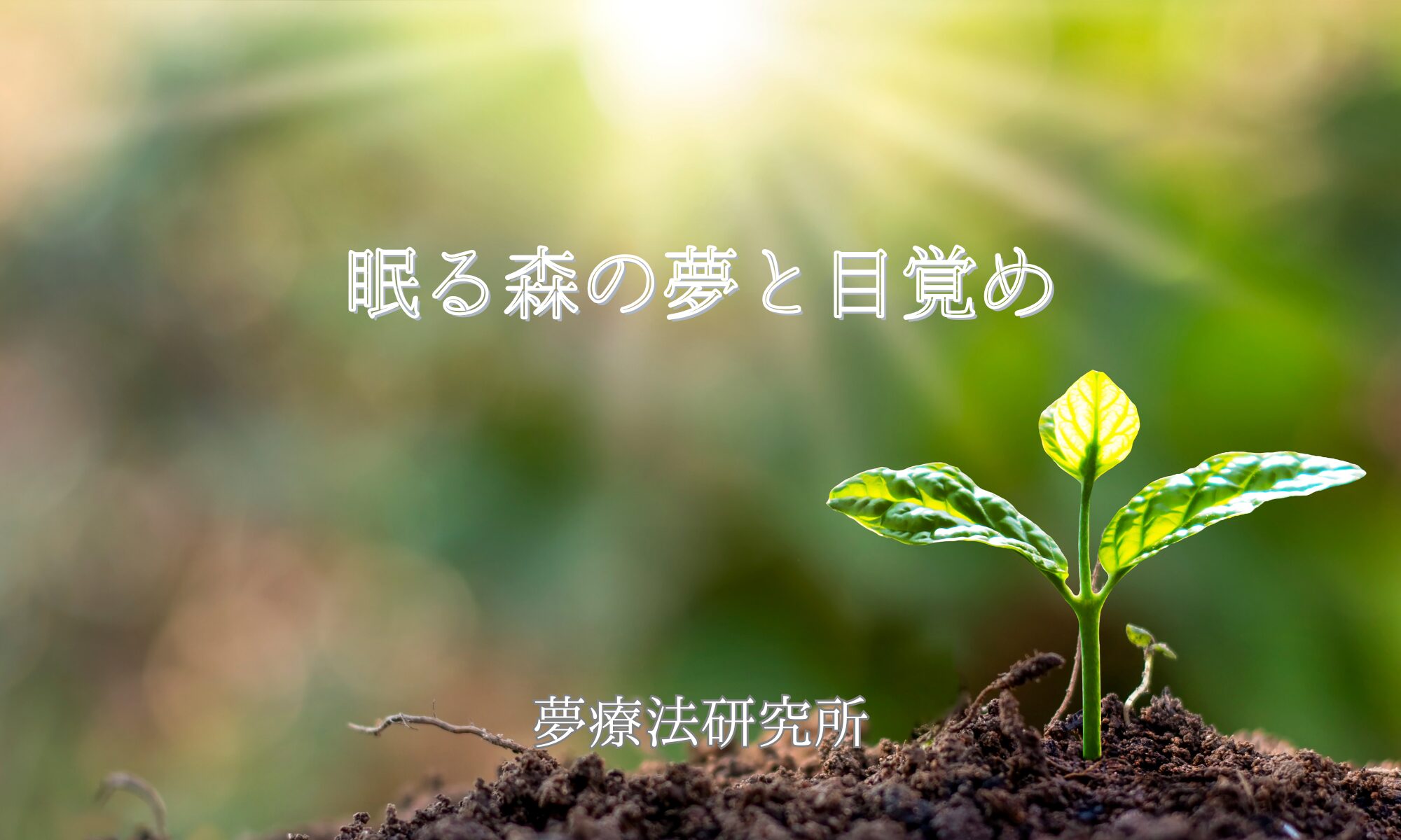 夢療法研究所